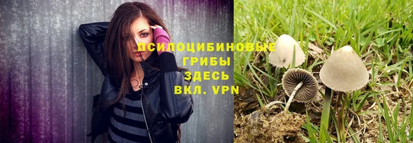 прущие крисы Алзамай