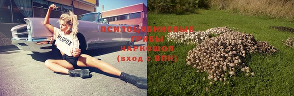 мет Семёнов